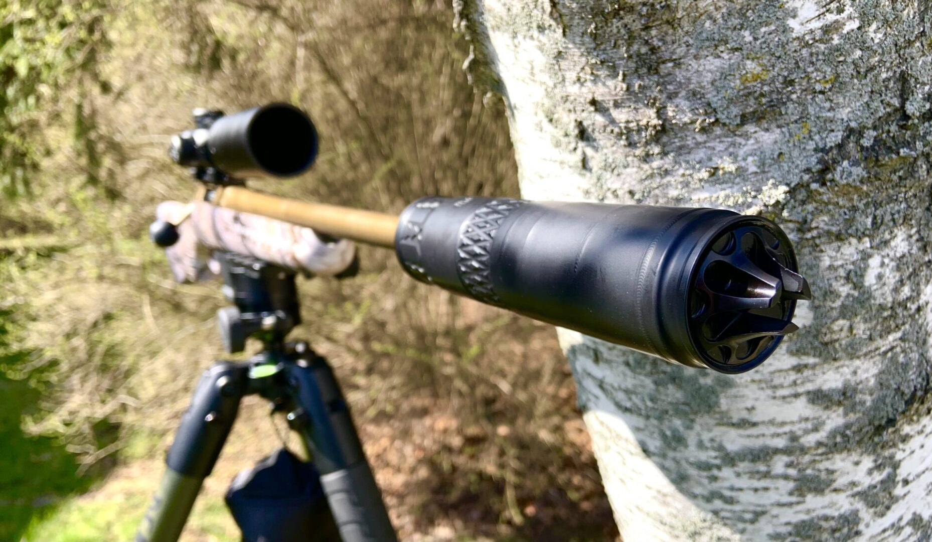 Rifle with Suppressor